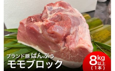 ブランド豚「ばんぶぅ」モモブロック1本（8kg以上）ばんぶぅ 豚肉 モモ もも肉 モモブロック ブロック肉 モモ肉 しゃぶしゃぶ 焼き肉 真空パック しゃぶしゃぶ肉 焼肉用 ブタ肉 国産 茨城県産 ギフト プレゼント 冷蔵 高級部位 ブランド豚 42-H