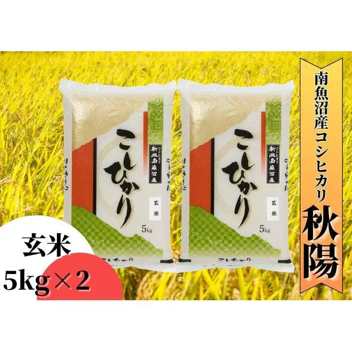 【令和8年産 新米予約】南魚沼産コシヒカリ「秋陽」（玄米10kg）新潟県の特A地区南魚沼市の美味しいお米【銘柄米 ブランド米 玄米 こしひかり コシヒカリ 魚沼産 新潟米 産地直送 お米】【2026年10月上旬より1ヶ月以内に順次発送予定】