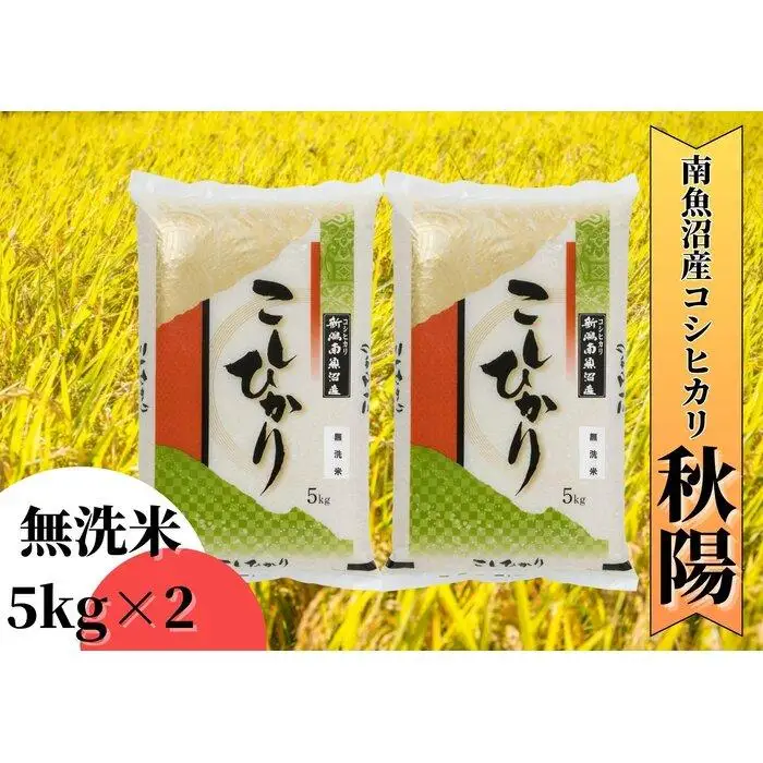 【令和8年産 新米予約】南魚沼産コシヒカリ「秋陽」（無洗米10kg）新潟県の特A地区南魚沼市の美味しいお米【銘柄米 ブランド米 無洗米 こしひかり コシヒカリ 魚沼産 新潟米 産地直送 お米】【2026年10月上旬より1ヶ月以内に順次発送予定】