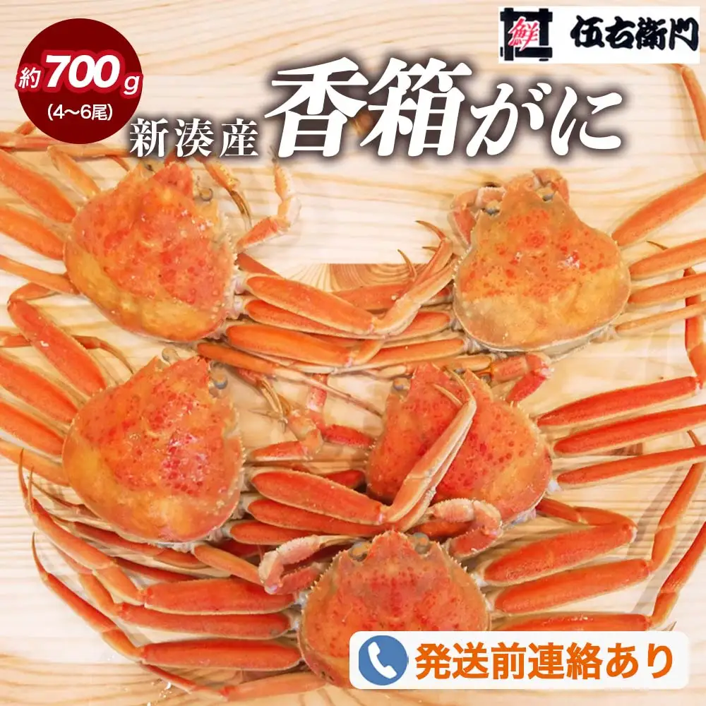 【伍右衛門】新湊産香箱がに4～6尾（計約700g）｜海鮮 お祝い 集まり ズワイガニ 雌 冬の味覚 茹でたて 新鮮 国産 富山県産 ※2026年11月～発送 ※発送まで1か月以上かかる場合があります。