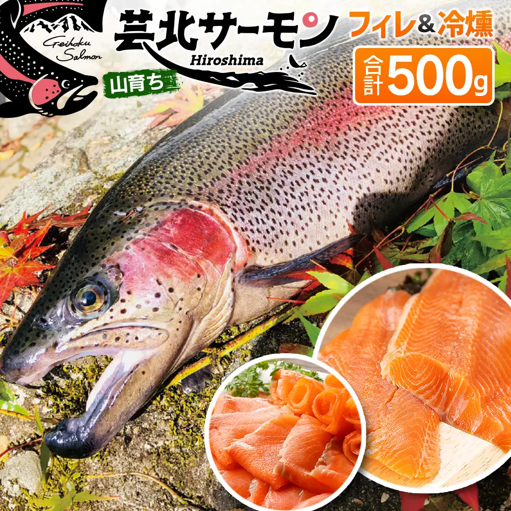芸北サーモン 計500g 骨取りフィレ＆冷燻サーモンセット  山育ち サーモン フィレ スモークサーモン 刺身 サラダにおすすめ_OG065_003
