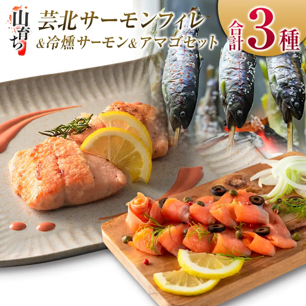 芸北サーモン計800g＆アマゴセット 骨取り サーモンフィレ 冷燻サーモン スモークサーモン 芸北アマゴ 清流育ちのお魚セット 山育ち芸北サーモン_OG065_004