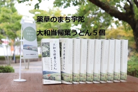 薬草のまち宇陀 大和当帰葉うどん 5個／薬草 大和当帰葉 うどん ２食分 ５個 奈良県 宇陀市