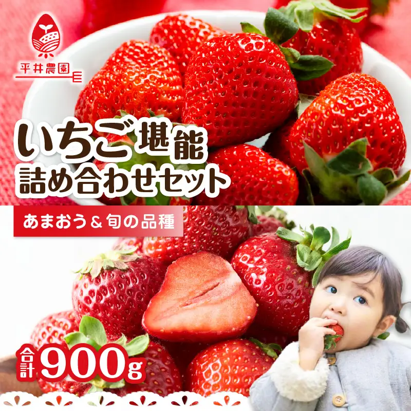 いちご堪能詰め合わせセット「あまおう450g」＋「旬の品種450g」（合計900g）｜2027年1月下旬～順次発送＜ひらい観光農園＞ あまおう いちご 苺 イチゴ フルーツ 果物 くだもの 人気 旬 福岡県産 食べ比べ 採れたて セット 冷蔵配送 数量限定 期間限定 産地直送 福岡県 八女市 065-002