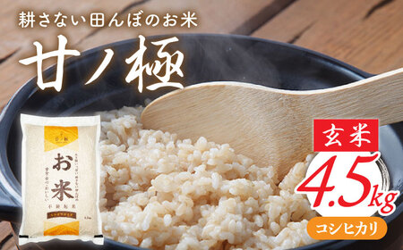 先行予約【令和8年産】玄米「廿ノ極」（4.5kg） [TCI001] 玄米