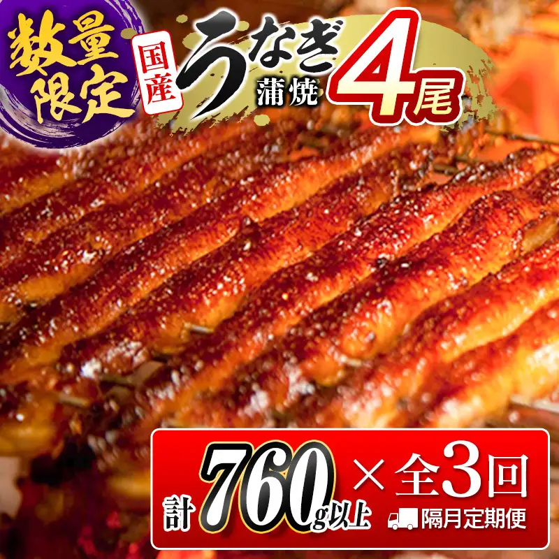 数量限定 特大 うなぎ 定期便 4尾セット 隔月 9月11月1月お届け 全3回 E193-760-091101
