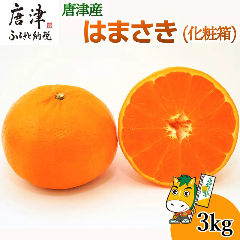 『先行予約』【令和9年1月下旬発送予定】唐津産 はまさき 3kg
