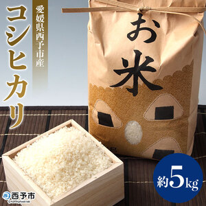 ＜愛媛県西予市産 お米 コシヒカリ 約5kg＞ コメ 白米 精米 ご飯 甘味 旨味 つや 粘り 特産品 愛媛県 西予市【常温】『1か月以内に順次出荷』UUB0020