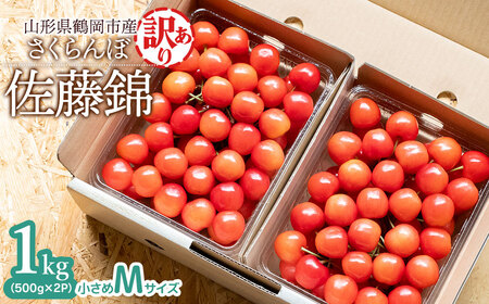 【令和9年産】【訳あり】さくらんぼ 佐藤錦 Mサイズ バラ詰め 1kg（500g×2P） 鶴岡市産 大膳農園