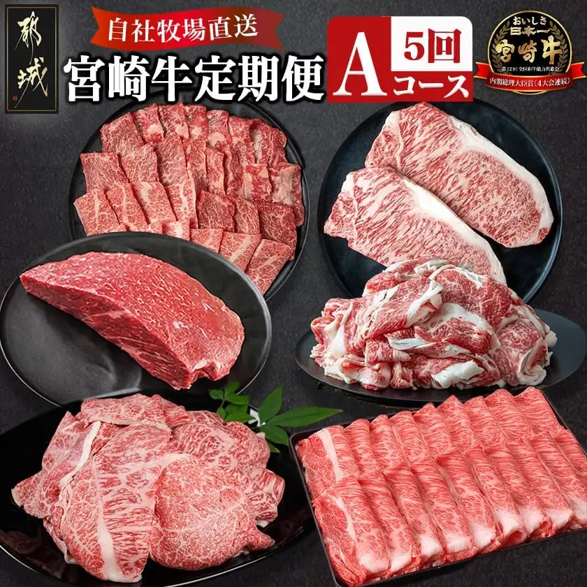 宮崎牛定期便(5回お届け) Aコース〔N25-001-T5〕_(都城市) 宮崎牛 食べ比べ バラ ウデ モモ カルビ サーロイン 肩ロース 切り落とし ブロック ステーキ スライス 5回 すき焼き 牛丼 炒め物 焼肉