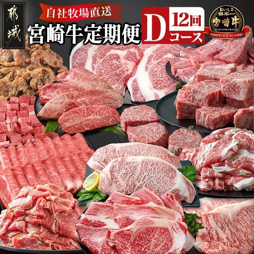 宮崎牛定期便(12回お届け) Dコース〔N25-004-T12〕_(都城市) 