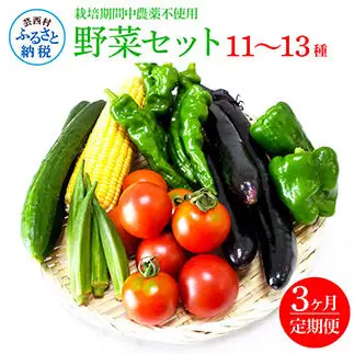 野菜セット（11‐13種類）《3カ月定期便》 