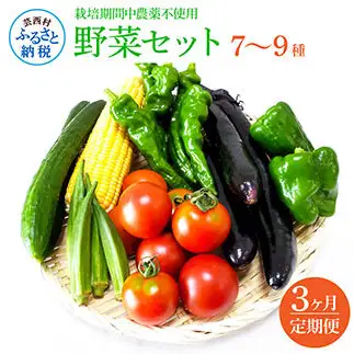 野菜セット（7‐9種類） 《3カ月定期便》 