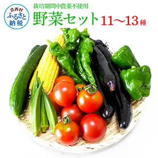 野菜セット（11‐13種類）