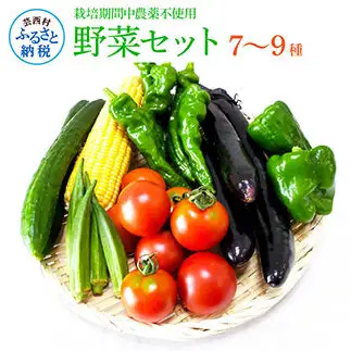 野菜セット（7‐9種類）