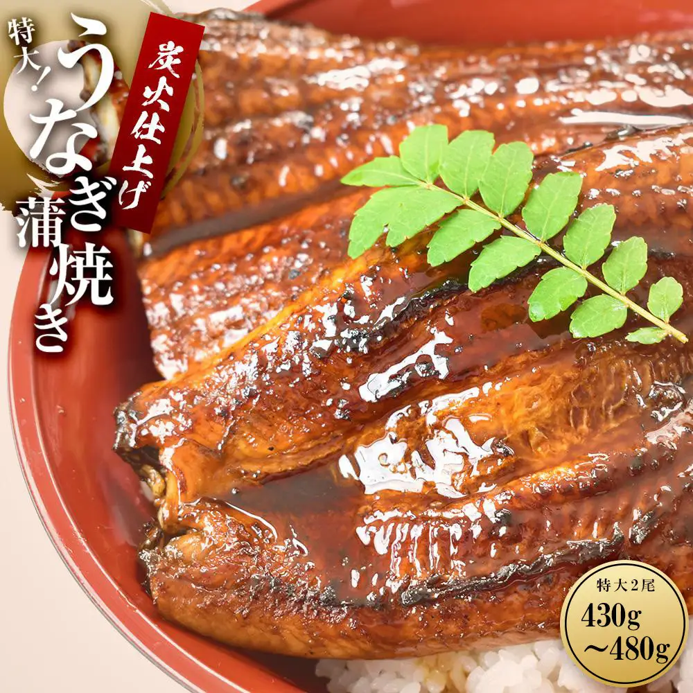 うなぎ蒲焼き2尾入り 430g～480g（蒲焼たれ4袋 山椒付き）［KS5］
