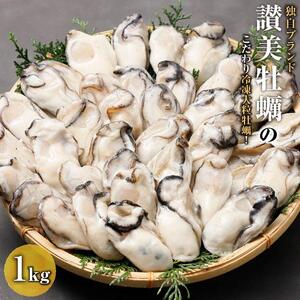 独自ブランド「讃美牡蠣」のこだわり冷凍大粒牡蠣！｜かき カキ 贈答 広島