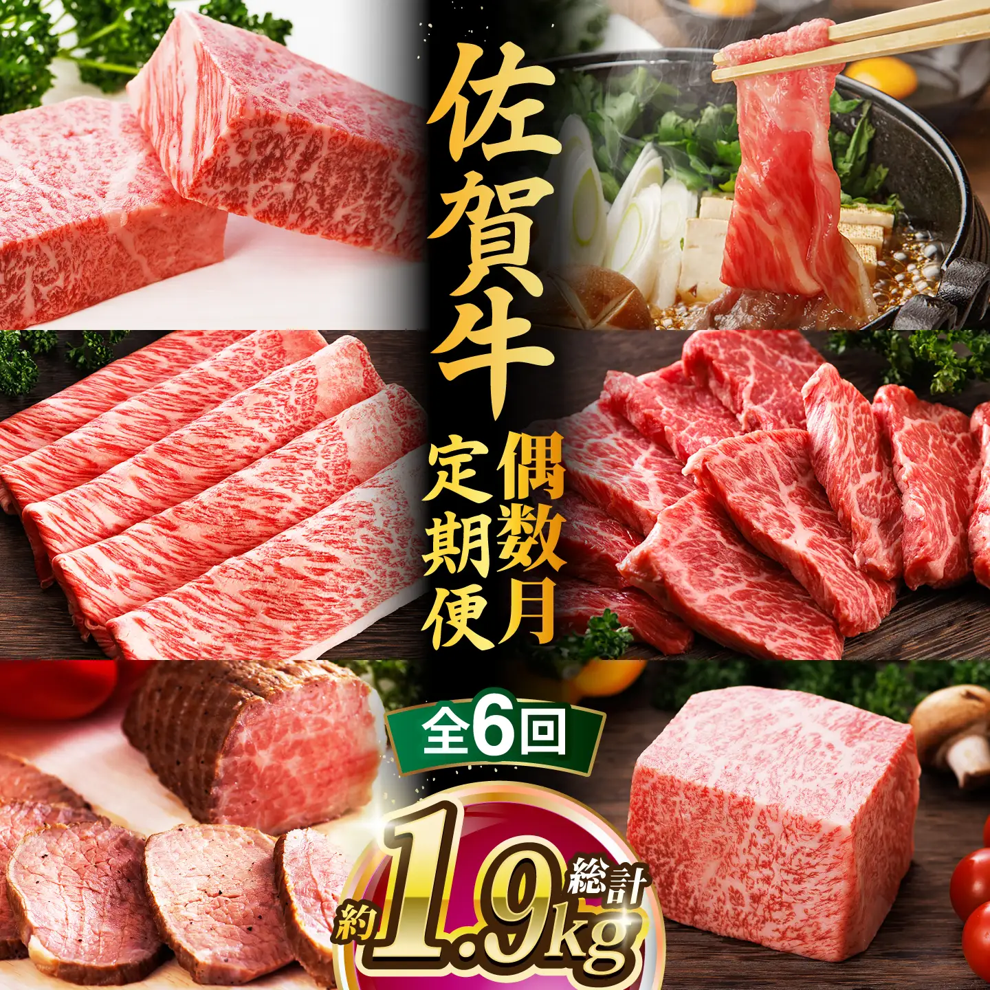 【全6回・偶数月】佐賀牛 牛肉定期便 約2-3人前 総計1.95kg 隔月発送 UCC008