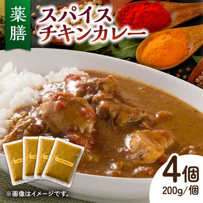 薬膳スパイス チキンカレー /自然庵 [UCQ001] カレー スパイスカレー