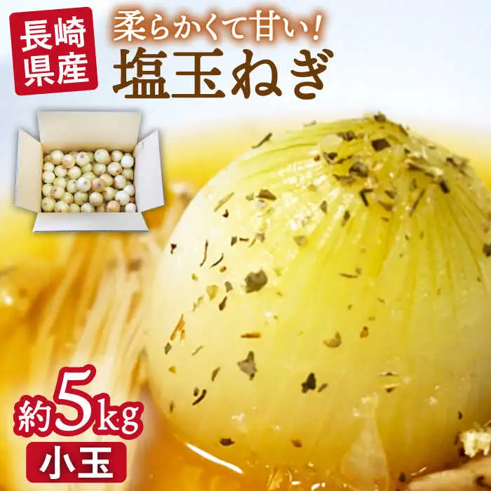 【2027年3月中旬-発送】塩玉ねぎ 約5kg（小玉） [SCB054] 玉ねぎ