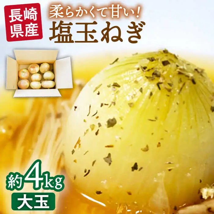 【2027年3月中旬-発送】【柔らかくて甘い！】塩玉ねぎ 約4kg（大玉）/ 新たまねぎ 新玉ねぎ 新タマネギ 玉ネギ 玉ねぎ たまねぎ タマネギ / 南島原市 / 長崎県農産品流通合同会社 [SCB055]