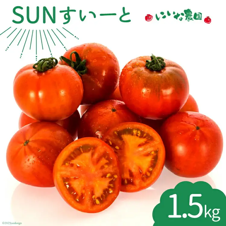 【期間限定発送】 トマト SUNすいーと 1.5kg×1箱
