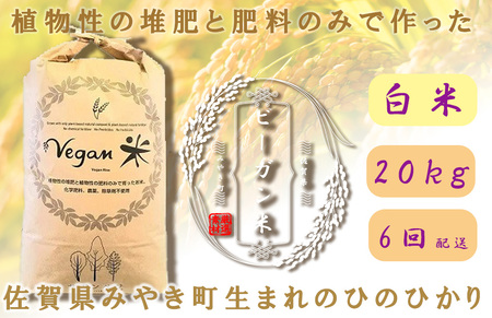CQ031_【6か月定期便】ビーガン米20kg　白米【植物性で育てた完全無農薬のサガンベジブランド】