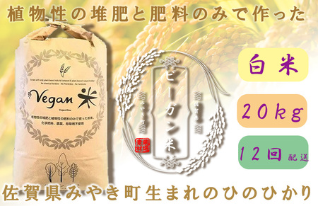 CQ032_【12か月定期便】ビーガン米20kg　白米【植物性で育てた完全無農薬のサガンベジブランド】