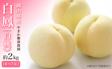 桃 【 2027年 先行予約】 岡山県産 白鳳 （ 白桃 ） 約2kg（6～7玉） 《2027年7月上旬～中旬頃出荷》 白桃 岡山 はくとう フルーツ 果物 先行予約 数量限定 期間限定 里庄町 モモ もも 
