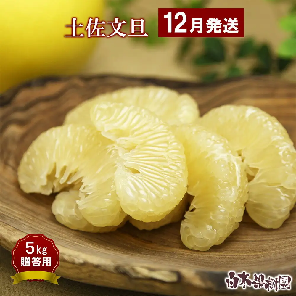 特選温室土佐文旦 特選秀品ご 用大箱 約5kg