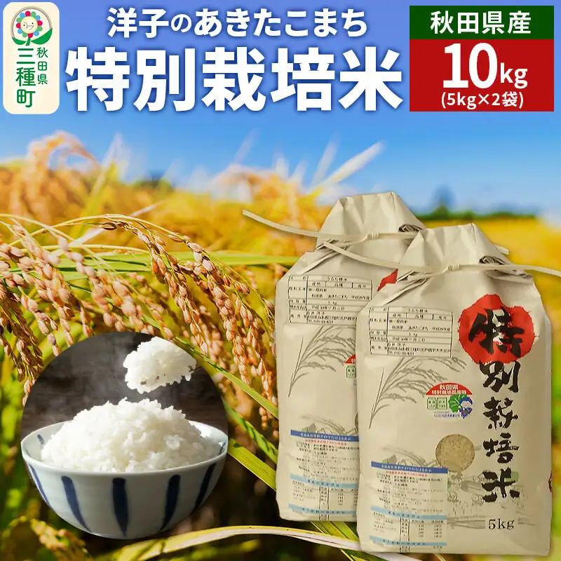 洋子の あきたこまち 特別栽培米 10kg(5kg×2袋) 秋田県産 【白米】 令和6年産
