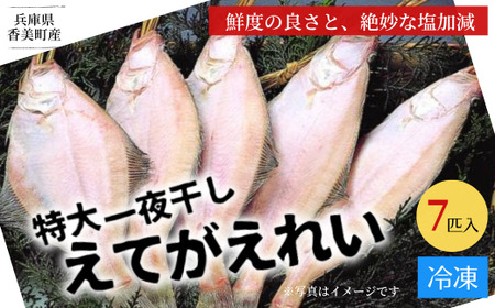 兵庫県香住産 特大 一夜干し えてがれい 7匹入り 冷凍 干物 海鮮 56-07