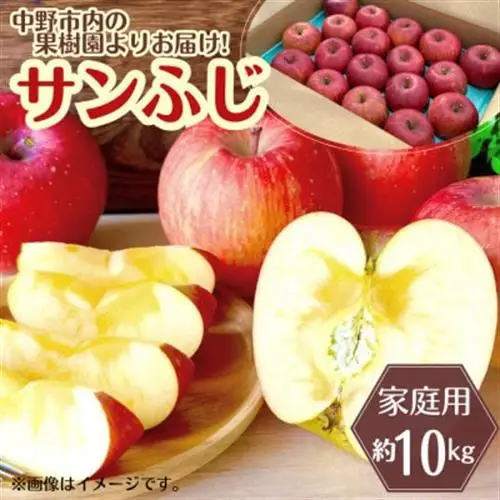 ◆2026年12月中発送◆りんご サンふじ家庭用 約10kg(24～42玉)【1494948】
