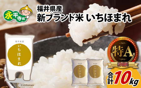 令和7年度産 福井県産新ブランド米 いちほまれ 10kg（5kg×2袋）[B-002027]