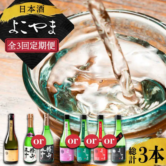 【全3回定期便】 日本酒 よこやま 定期便（15度）《壱岐市》【ヤマグチ/重家酒造】[JCG113] お酒 日本酒