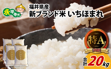 令和7年度産 福井県産新ブランド米 いちほまれ 20kg（5kg×4袋）[D-002030]