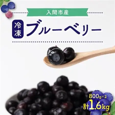 ブルーベリー冷凍　1.6kg【配送不可地域：離島】【1298918】