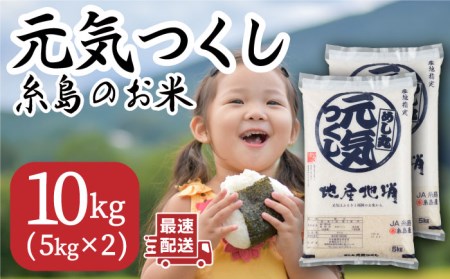 糸島のお米 元気つくし 10kg （ 5kg×2 ）  糸島市 / 伊都菜彩 [AED018]
