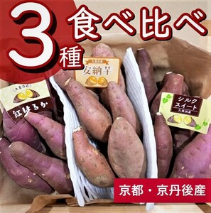 【先行予約／数量限定】直売所直送「京都・京丹後産 訳あり さつまいも3種食べ比べセット」計3kg（2026年10月下旬～発送）