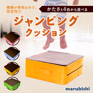 ジャンピングクッション 機能性クッション 弾力 椅子 カラークッション 立体クッション  [023M13]