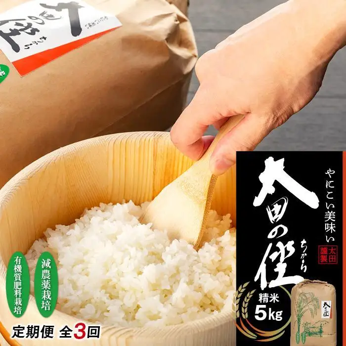 【定期便　全3回】『太田のちから』5kg　減農薬栽培・有機質肥料栽培のコシヒカリ