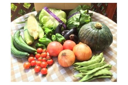 野菜ボックス（2回）