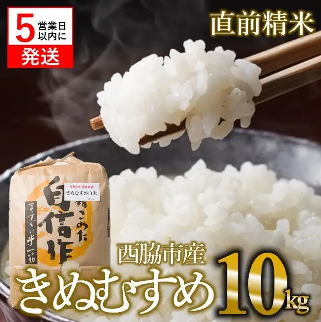 【スピード配送】きぬむすめ 10kg 白米 令和７年産