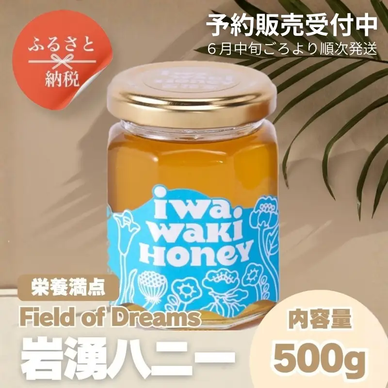 岩湧ハニー 純粋百花はちみつ 500g×1本セット