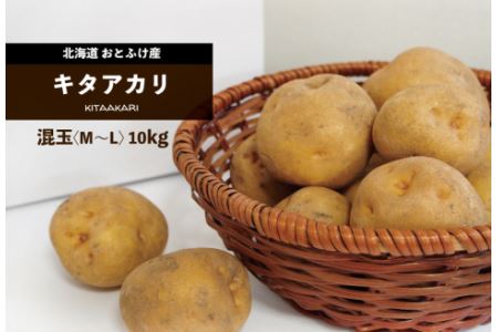 ［先行受付］おとふけ産じゃがいも「きたあかり」10kg（M～Lサイズ）【B28】