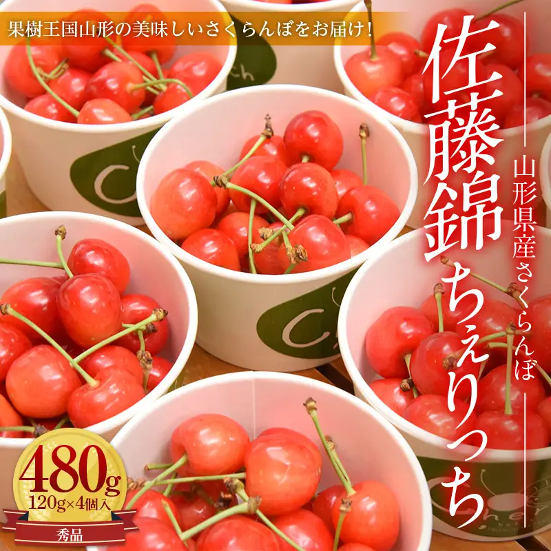 【2027年先行予約】山形県産さくらんぼ佐藤錦 秀品 L玉以上 ちぇりっち 120g × 4個入 FSY-0010