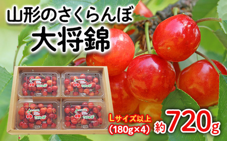 山形のさくらんぼ 大将錦 Lサイズ以上 720g(180g×4) 【令和9年産先行予約】FS25-525
