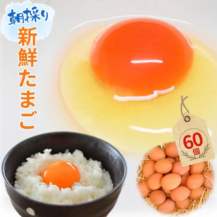 【60個】美味しい産みたて朝採り新鮮たまご（手集卵）ミネラルエッグ ／ 卵 生卵 鶏卵 濃厚 鮮度抜群 朝取り TKG 卵かけご飯 お取り寄せ グルメ 大容量 まとめ買い 詰め合わせ 弁当 お菓子作り お裾分け 産地直送 厳選 旨み コク 安心安全 千葉県 No.051