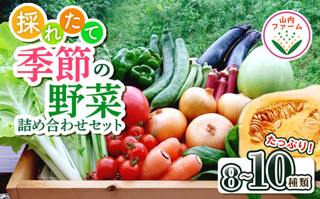 【自然が育む新鮮野菜】こばやし季節の野菜詰め合わせセット（ 野菜セット 季節野菜セット 新鮮野菜セット 旬野菜セット 小林市野菜セット ）