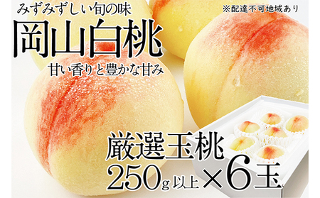 桃 2026年 先行予約 岡山の白桃 250g以上×6玉 白桃 旬 みずみずしい 晴れの国 おかやま 岡山県産 フルーツ王国 果物王国 夏の果物 果汁 とろける 上品な香り 